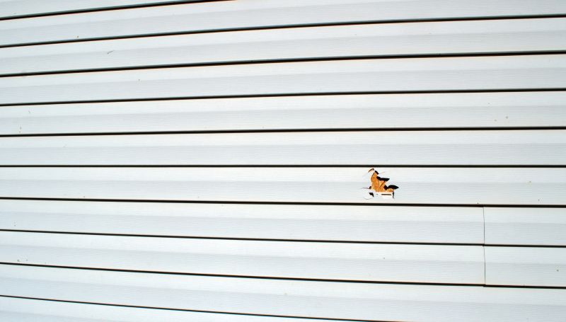 Licensed Siding Contractors